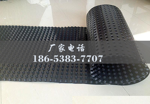 排水板廠家http://www.alexandertechnique-running.com/